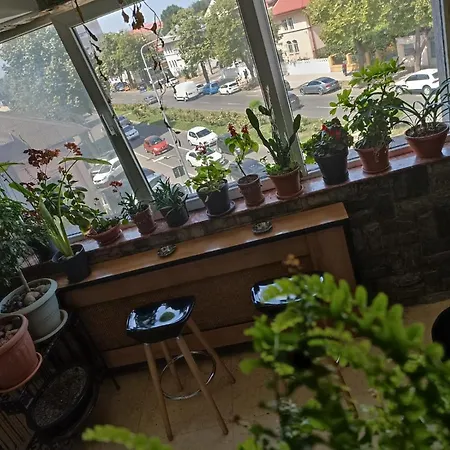 Apartment Central Residence